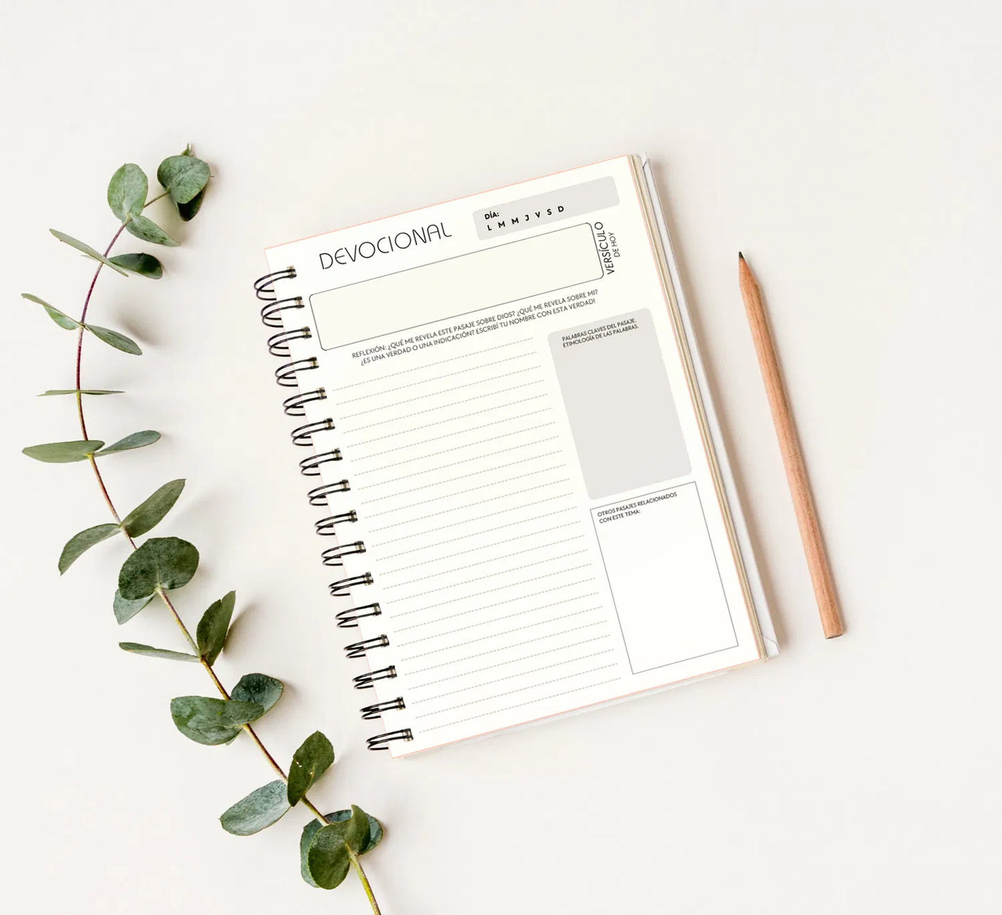 Devocional; mi tiempo con Dios