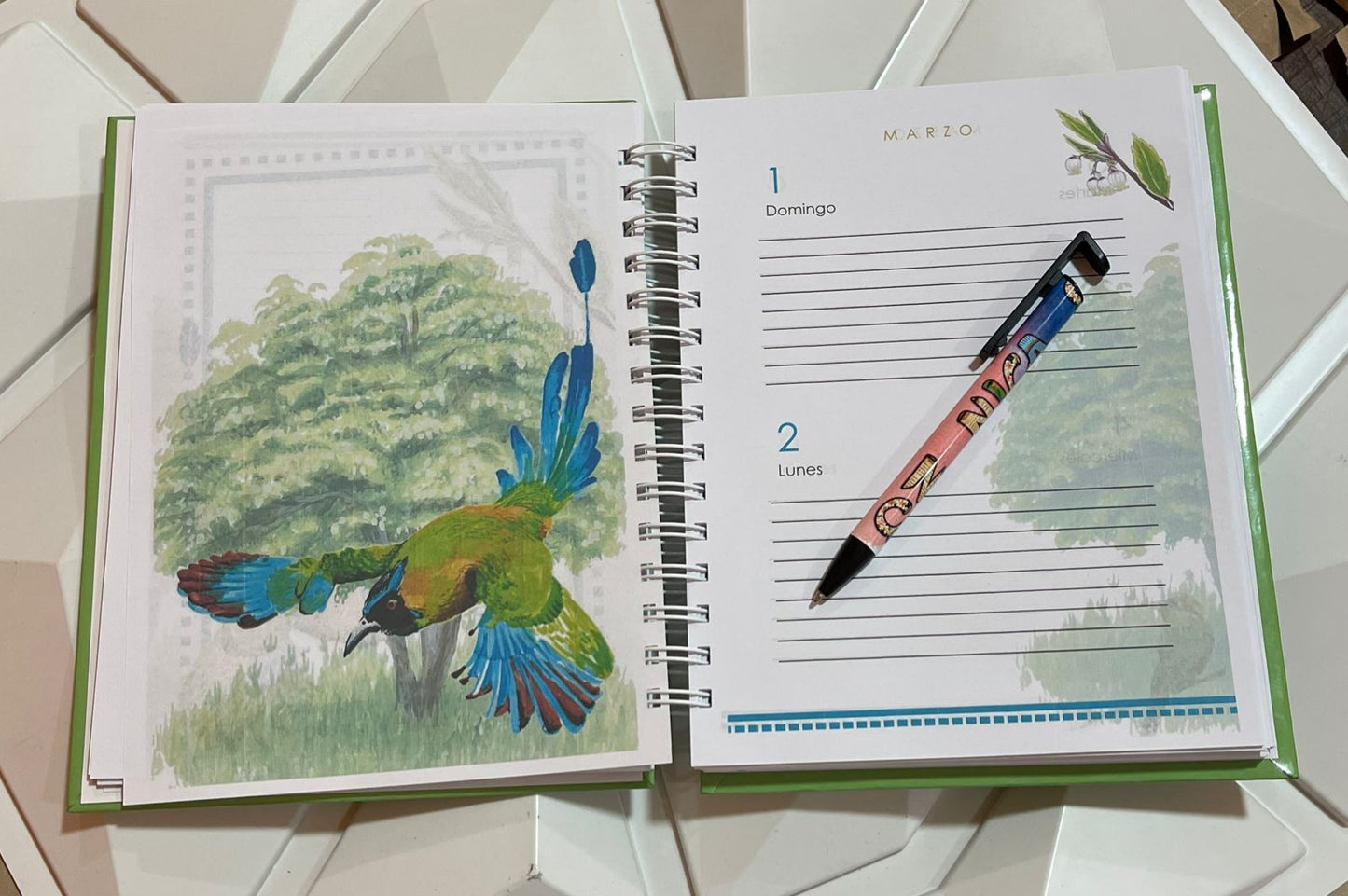 Agenda Nicaragua 2026-2027