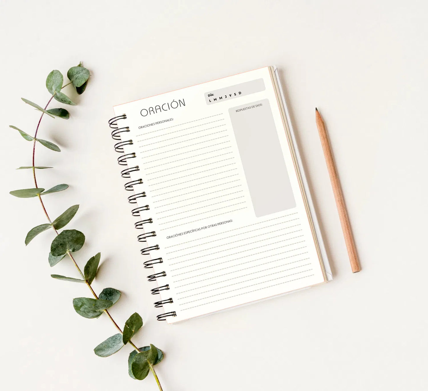 Devocional; mi tiempo con Dios