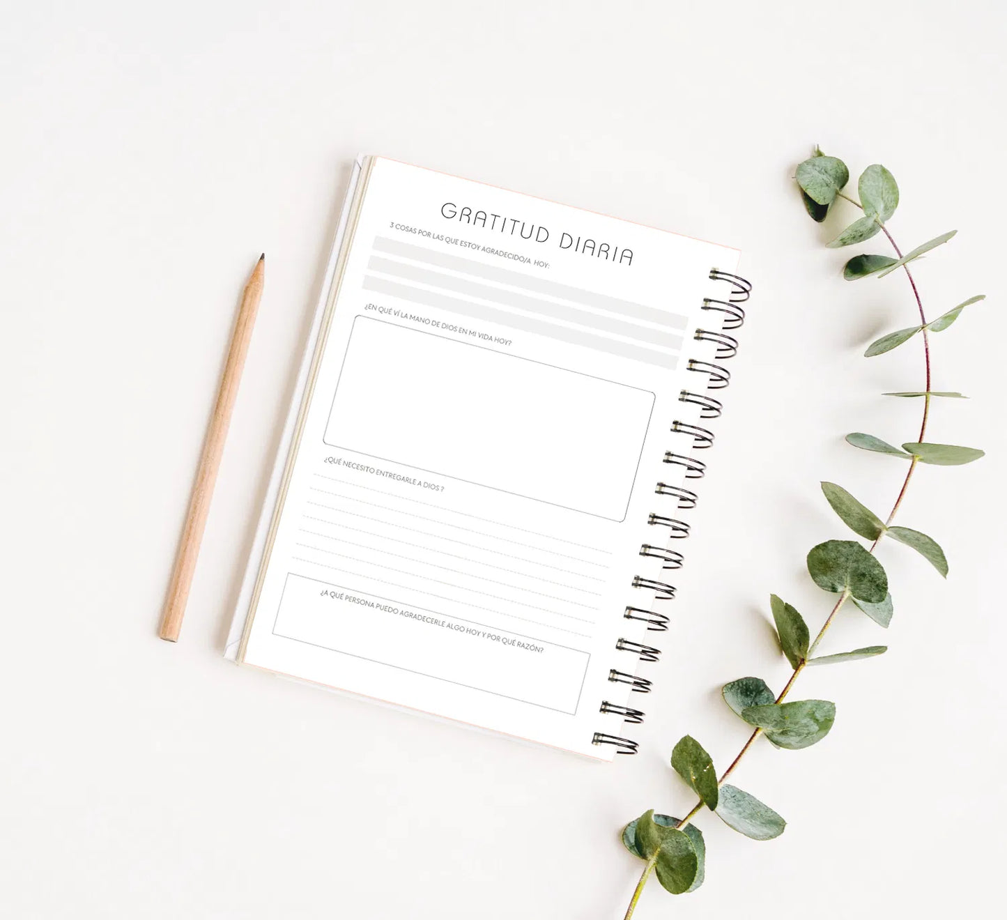 Devocional; mi tiempo con Dios