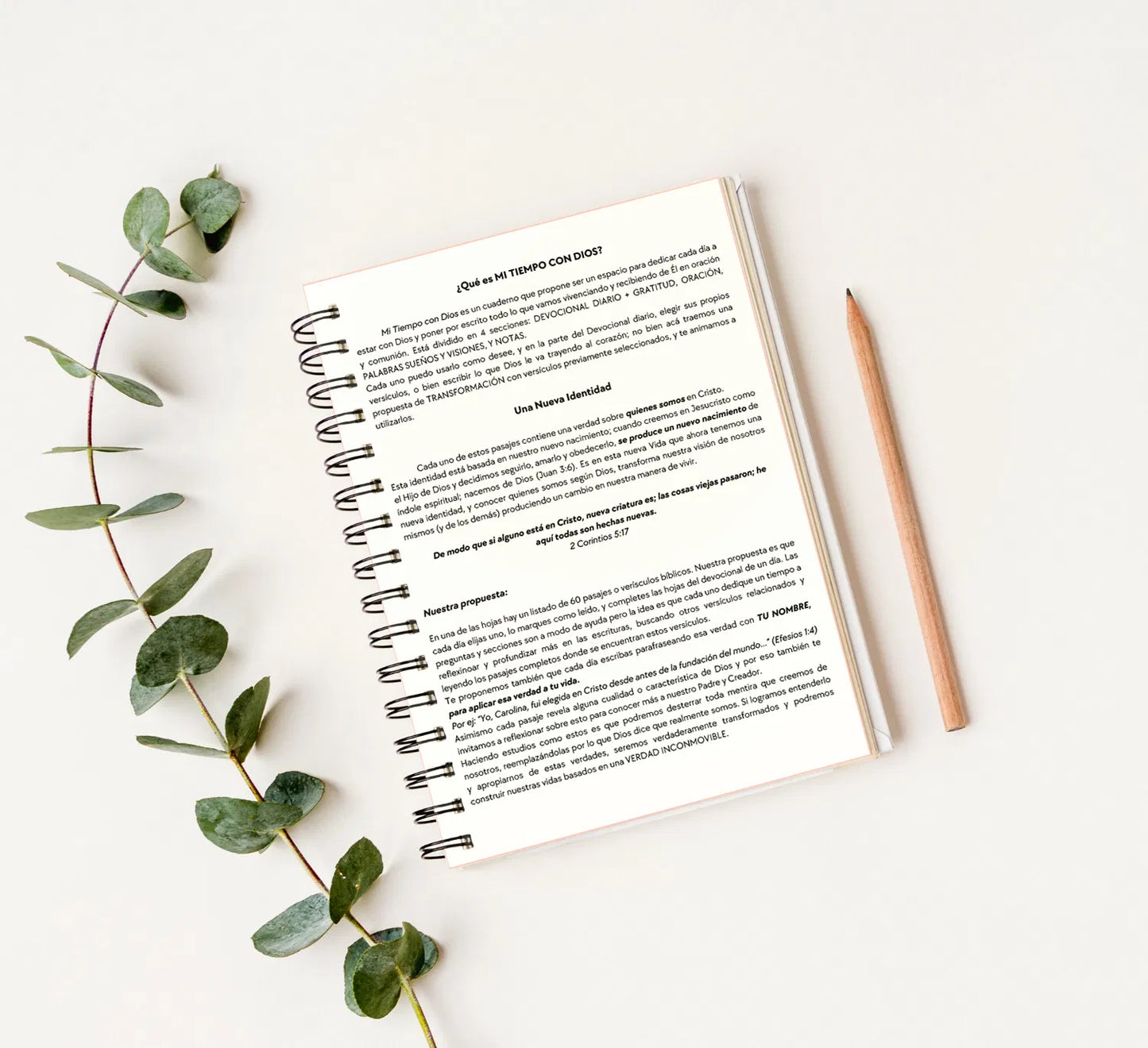 Devocional; mi tiempo con Dios